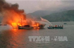 Hỏa hoạn thiêu rụi 3 tàu cá ở Bình Định, thiệt hại khoảng 30 tỉ đồng